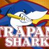 Trapani Shark, la Corte Sportiva di Appello rigetta reclamo per espulsione dalla Serie A 