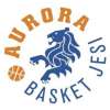 Serie B - Basket Jesi Academy: ingaggiato Francesco “Ike” Ihedioha