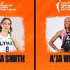 Succede in WNBA: pareggio al premio Defensive Player of the Year, lo vincono in due