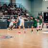 Napoli Basket, buona la prima: battuta di misura Avellino 