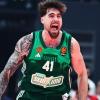 Panathinaikos, rimonta da -12 e colpo pesantissimo sulla Stella Rossa
