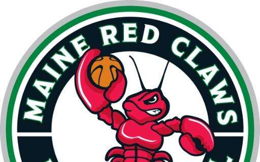 NBA - I Celtics acquistano il franchising affiliato della G-League