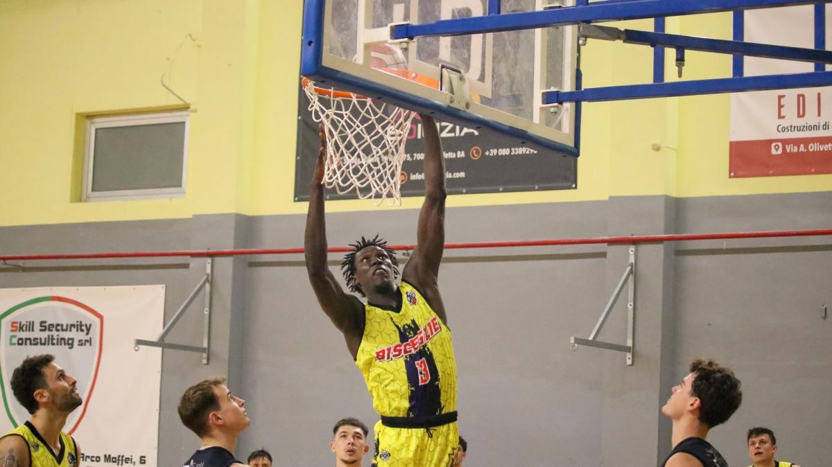 Serie B - I Lions Bisceglie sfidano Vasto con l’obiettivo della terza vittoria stagionale