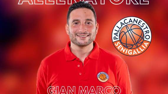 Serie B - Coach Gianmarco Petitto confermato alla Pallacanestro Senigallia