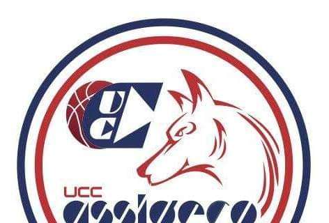 UFFICIALE A2 - Piacenza, confermato coach Ceccarelli