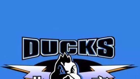 CBA - Yannis Christopoulos torna alla guida dei Beijing Ducks