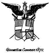 L'organigramma del Settore Giovanile della Ginnastica Comense 1872