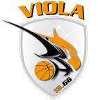 Viola Basket, domani firma del protocollo d'intesa con il liceo scientifico "Leonardo da Vinci"