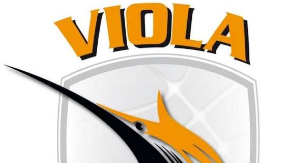 A2 - Viola Reggio Calabria, Paternoster: "Morale alto. Serve massima intensità per inizio campionato"