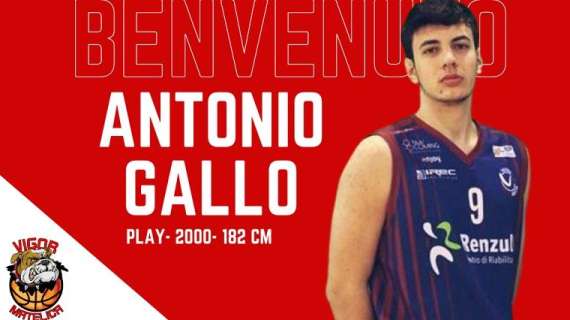 Serie B - Vigor Halley Matelica, la regia è di Antonio Gallo