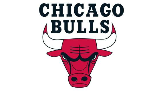 NBA - I Chicago Bulls alla ricerca di un presidente delle basketball operations