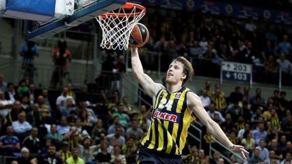 Jan Vesely leaves Czech Republic: "I'm physically and mentally exhausted"