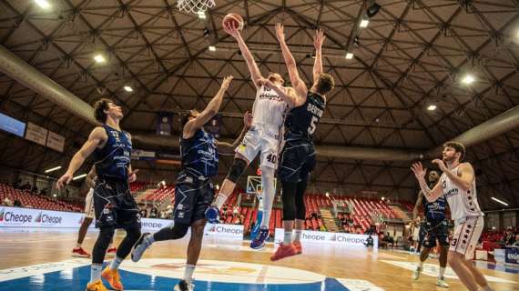 A2 - L’Assigeco c'è: grande prova di squadra e vittoria casalinga su Orzinuovi