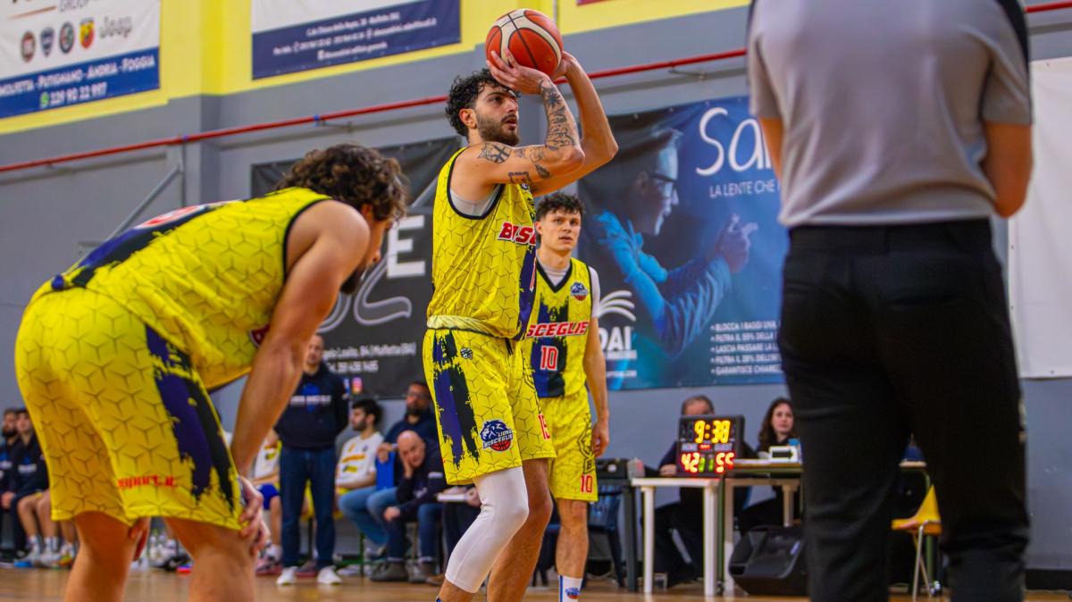 Serie B - C'è Recanati, per i Lions Bisceglie è tempo di reagire 