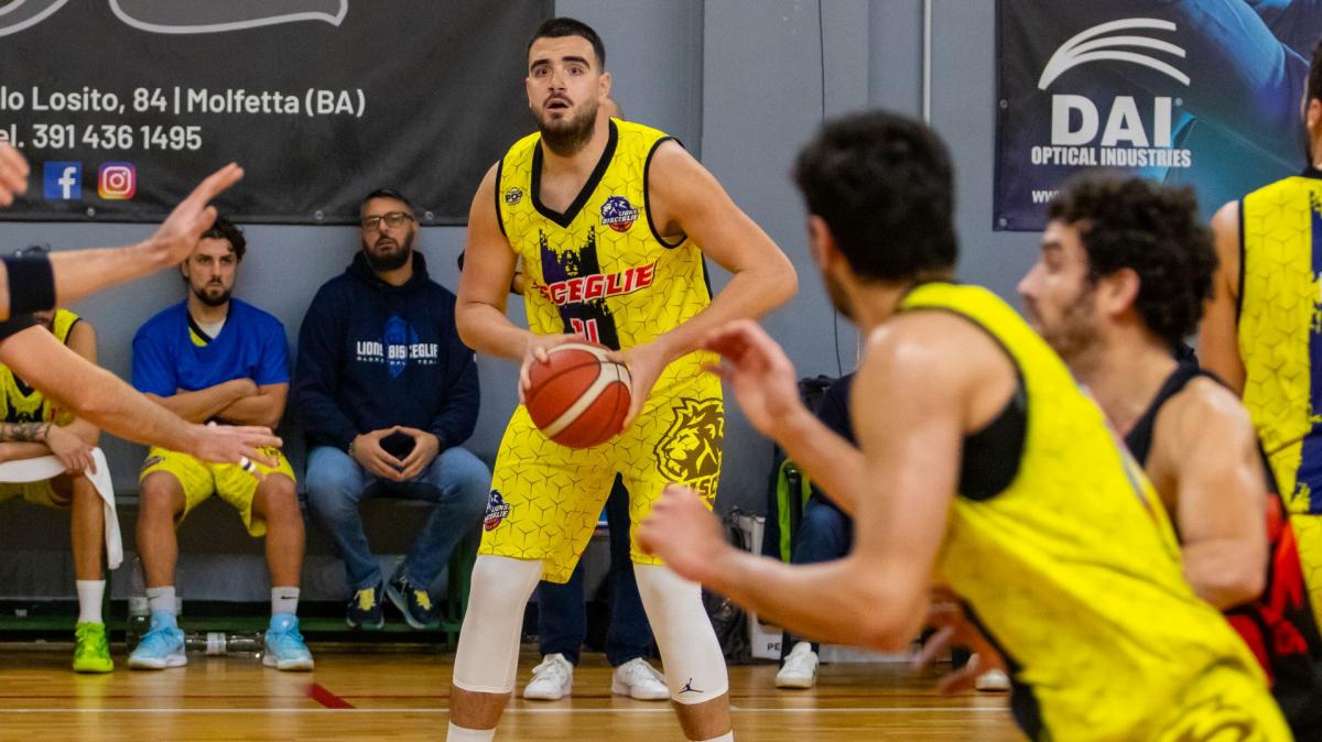 Serie B - Lions Bisceglie, il 2026 parte con la sfida alla capolista Matelica