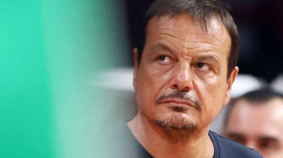 Panathinaikos, Ataman polemico: «Sono venuti con bandiere greche, quanti greci ha l'Olympiacos?»