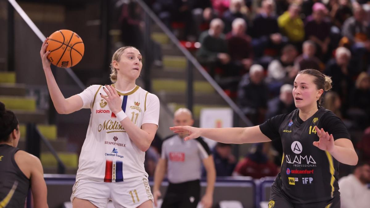 A1 F - L'esame più tosto per La Molisana Campobasso arriva in casa del Famila Schio