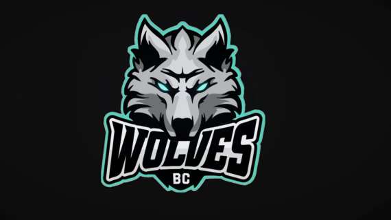 UFFICIALE EC - I BC Wolves hanno esonerato coach Kestutis Kemzura