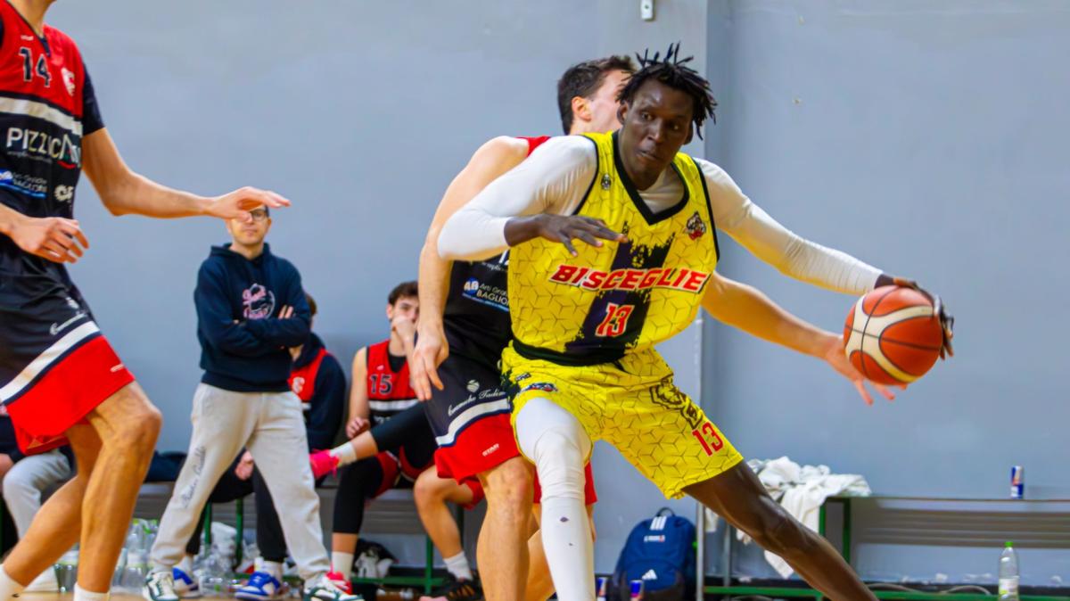 Serie B - Parte lo sprint conclusivo della regular season, i Lions Bisceglie sfidano Perugia 