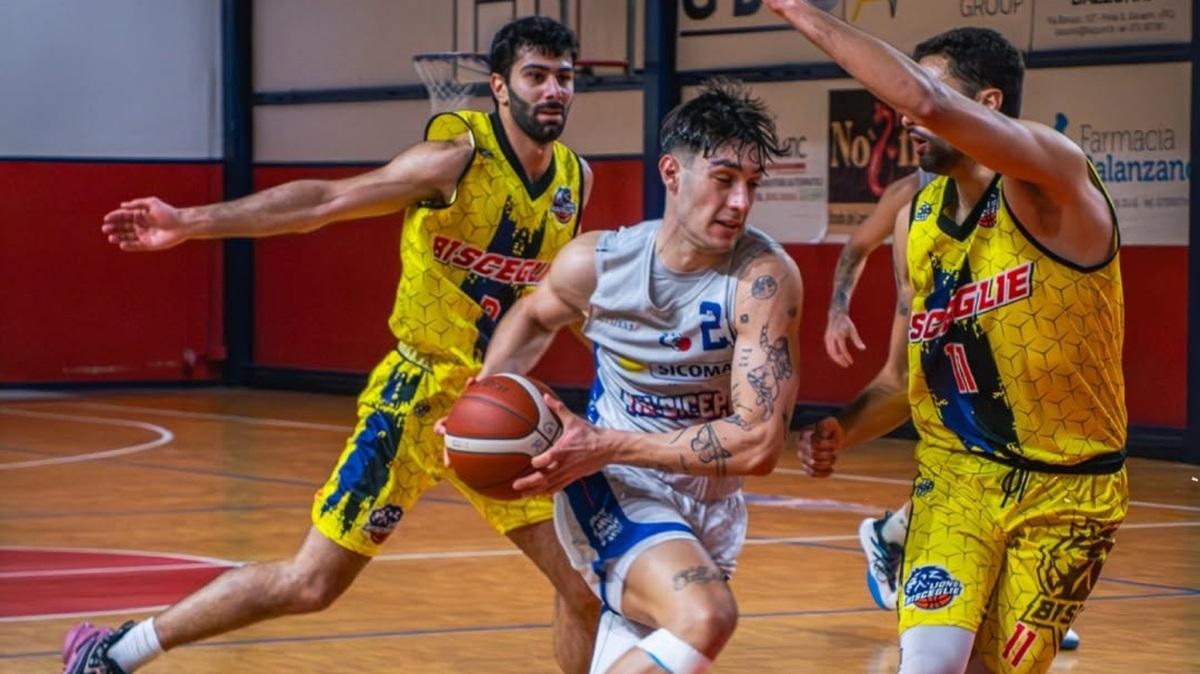 B Int - Lions Bisceglie, annuncio ingaggio Davide Frizzarin