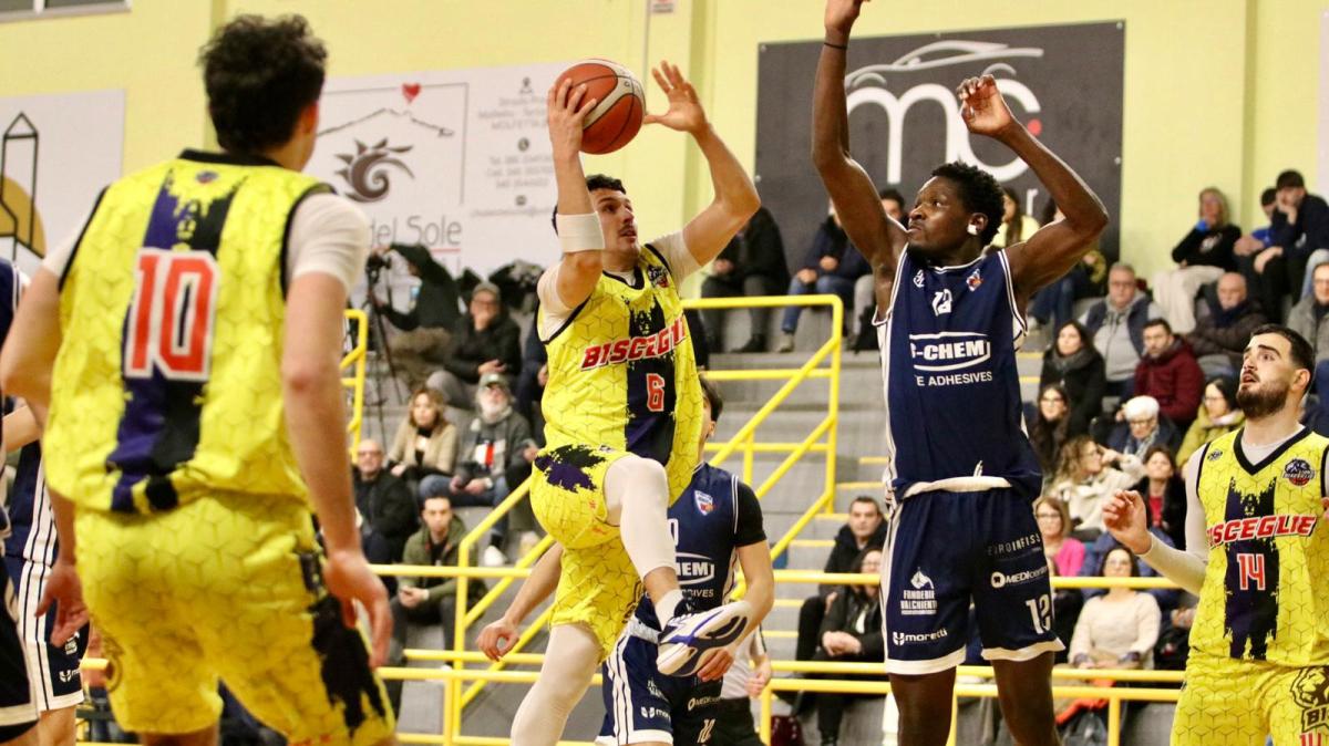 Serie B - La marcia continua: i Lions Bisceglie battono anche Civitanova