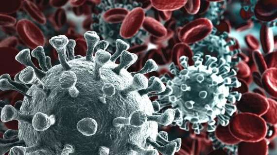 Coronavirus. Il bollettino dell'OMS del 4 aprile: oltre 1mln i contagi nel mondo