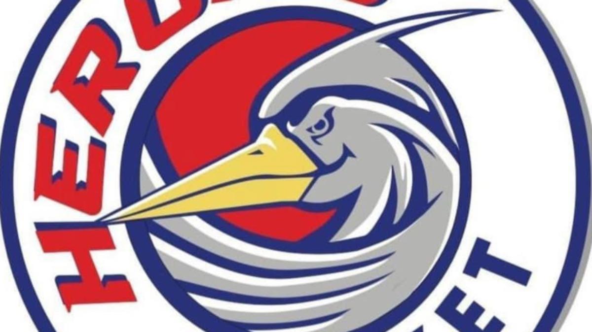 Serie B - Herons Montecatini annuncia ricorso per squalifica di Lukas Aukstikalnis