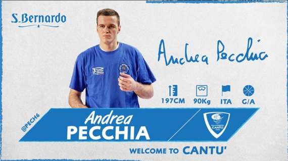 UFFICIALE A - Cantù, firmato Andrea Pecchia