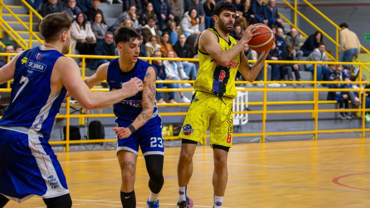 Serie B - Lions Bisceglie, accelerazione irresistibile: Perugia va ko