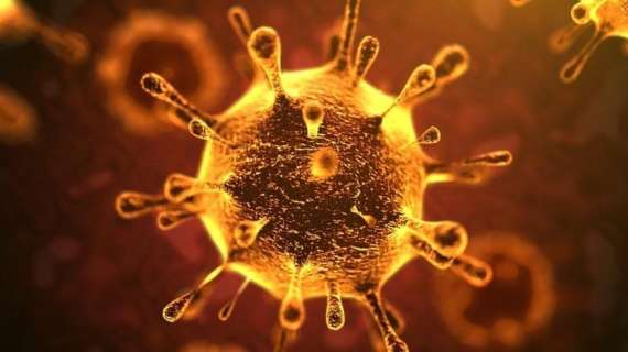 UFFICIALE Coronavirus. Il bollettino dell'OMS dell' 8 aprile