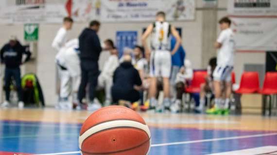 Serie B - Lions Bisceglie dai due volti, stop a Piazza Armerina