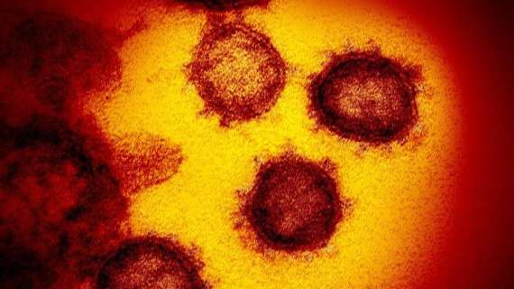 Coronavirus. Bollettino Italia e mondo del 21 maggio