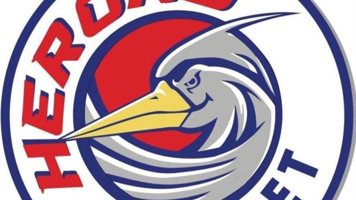 «Vergognosi. Chiedo scusa»: il presidente della Fabo Herons Montecatini dopo Legnano