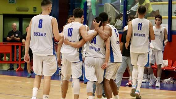 Serie B - Lions Bisceglie implacabili nei momenti decisivi contro Termoli