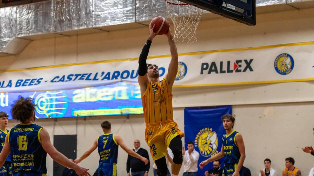 Serie B - Fiorenzuola Bees, c'è voglia di reagire: domenica al PalArquato arriva Aurora Desio
