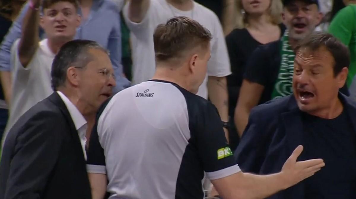 Valencia-Panathinaikos, che scintille! Pedro Martinez commenta l'espulsione con Ataman