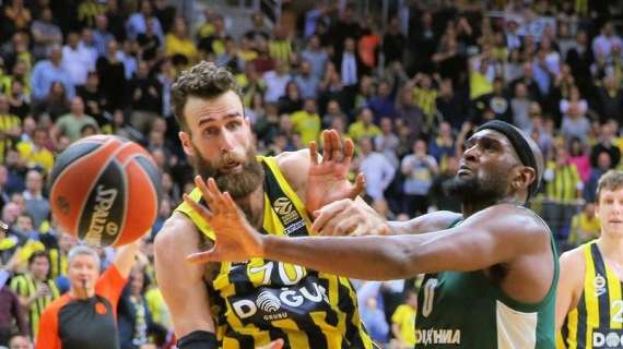 EuroLeague - Due giocate di Datome spingono il Fenerbahçe sul Panathinaikos