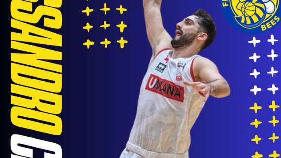 Serie B - Alessandro Ceparano è un nuovo giocatore dei Fiorenzuola Bees
