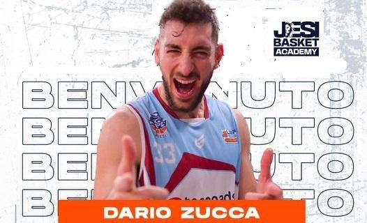 Serie B - Alla Basket Academy Jesi arriva l'ala grande Dario Zucca