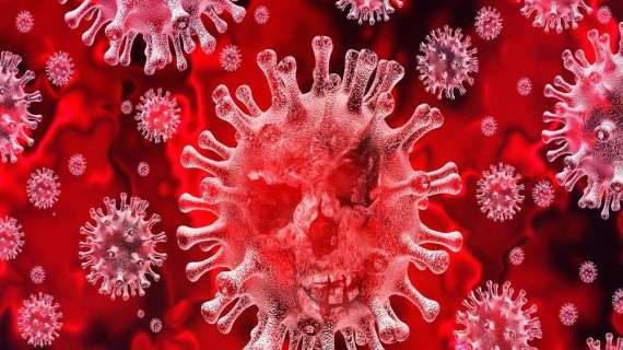 Coronavirus - Segnale importante: zero casi in Cina!