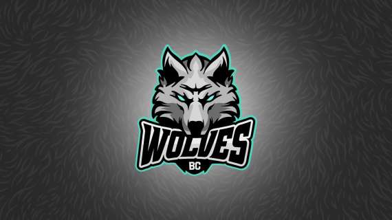 LKL - Il BC Wolves Vilinius ingaggia Arnoldas Kulboka