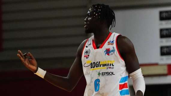 Serie B - I New Flying Balls Ozzano ricevono la Liofilchem Roseto