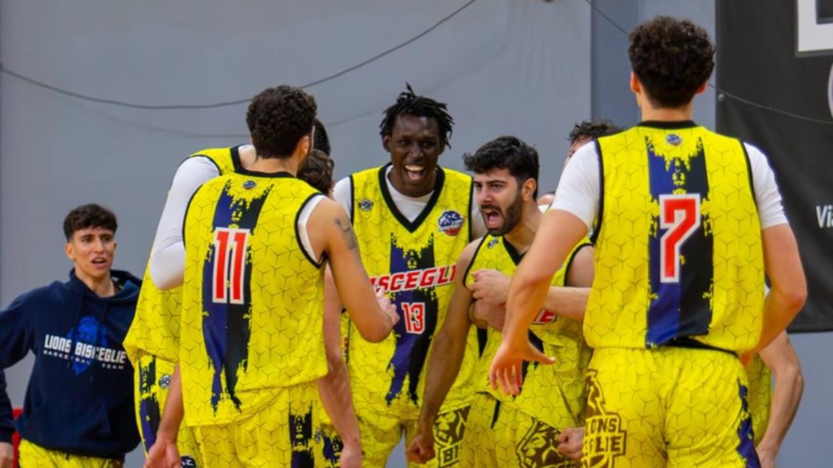 Serie B - Lions Bisceglie, l’avvincente rincorsa alla vetta prosegue spedita