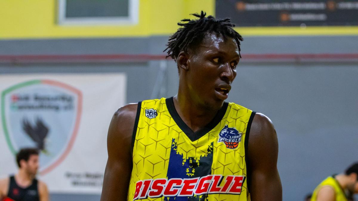 Serie B - Lions Bisceglie sul parquet di Senigallia alla ricerca del settimo sigillo consecutivo 