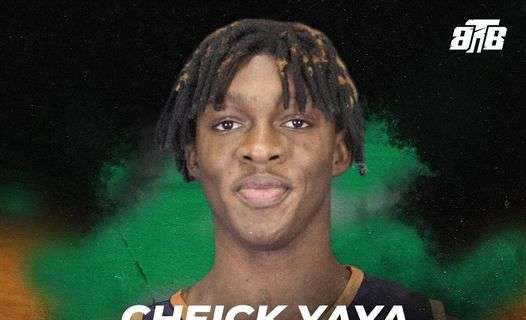 Serie B - Treviglio Brianza Basket: arriva Cheick Yaya Sissoko