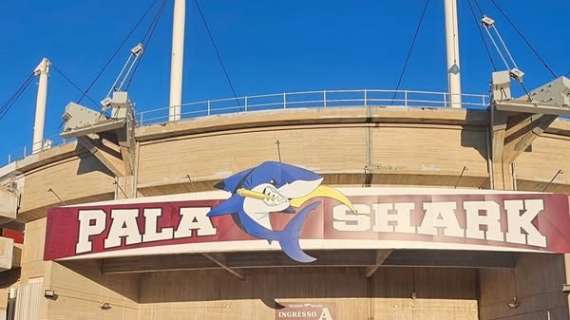PalaShark: tra bugie, imprecisioni, risse verbali una soluzione rapida esiste