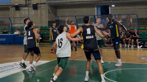Serie B - Lions Bisceglie in crescita nell’amichevole con Corato