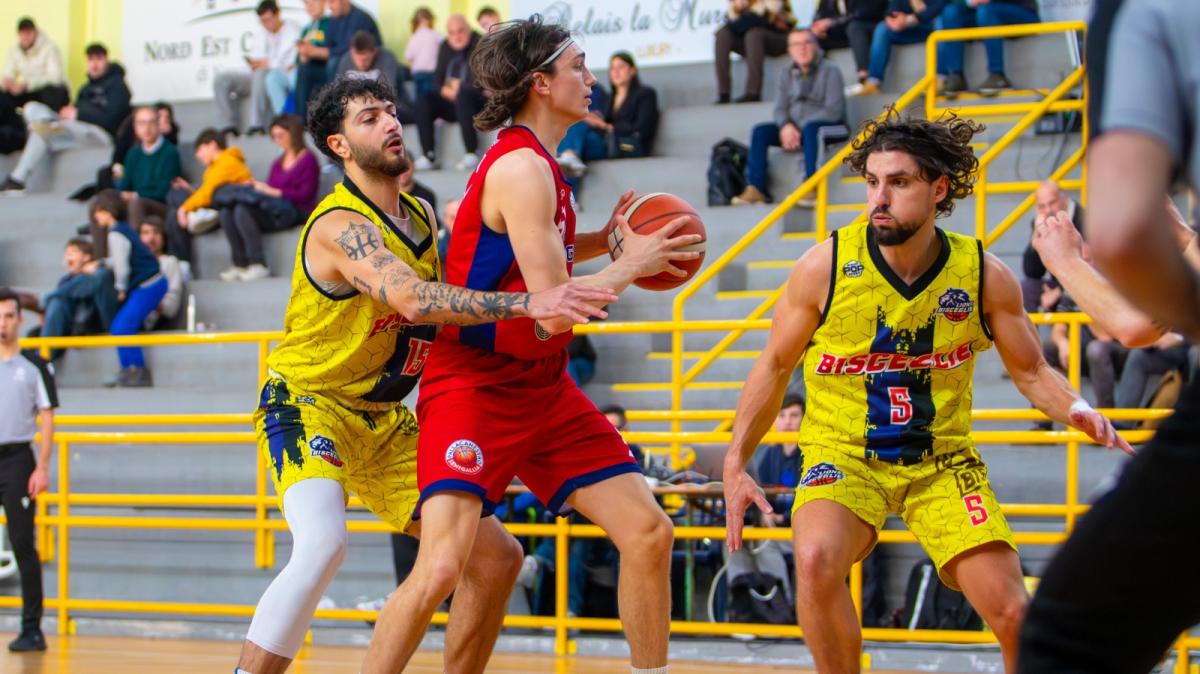 Serie B - I Lions Bisceglie gettano alle ortiche un’occasione preziosa