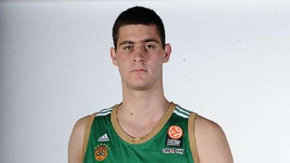 Georgios Papagiannis will enter the 2016 NBA Draft