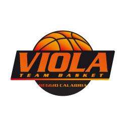 Liomatic Viola Reggio Calabria, domani l'incontro con il Bisceglie